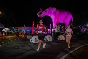 BIB: 
                            <button type="button" onclick="openModal(26552031)" class="btn btn-primary btn-sm float-right btn-popup" data-toggle="modal" data-target=".modal-high-quality">
                        <i class="fas fa-shopping-cart"></i> Add to Cart
                    </button>
                                            <button type="button" onclick="isThisMe(26552031, true)" class="btn btn-success btn-sm float-right btn-popup btn-isme hidden" data-toggle="tooltip" data-placement="bottom" title="นี่คือรูปของคุณใช่ไหม คลิกที่นี่เพื่อเอาเข้าอัลบั้ม">
                        <i class="fas fa-plus"></i> Add to album
                    </button>
                    <button type="button" onclick="isThisMe(26552031, false)" class="btn btn-warning btn-sm float-right btn-popup btn-isnotme hidden">
                        <i class="fas fa-ban"></i> Remove from album
                    </button>